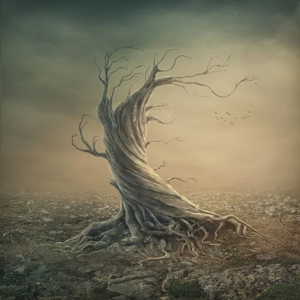 Old Lonely Tree Rocky Medow — Stock Photo, Image