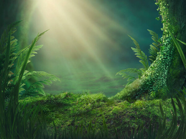 Magic forest background. With copy space.