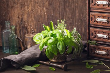 Havan topunda taze bitkilerle hayat devam ediyor.