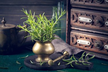 Havanda taze biberiyeyle hayat