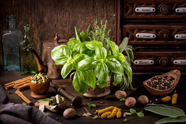 Stillleben Mit Frischen Kräutern Mörser — Stockfoto