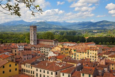 Lucca.