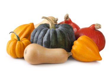 Squashes