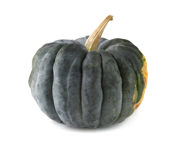 Black Futsu Squash — Stock Photo, Image