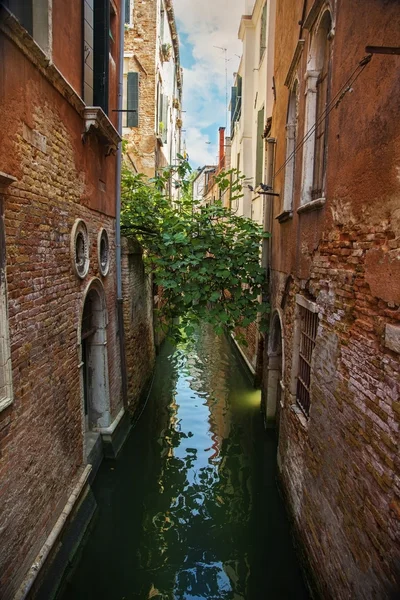 Canal de agua estrecho en Venecia — Foto de Stock