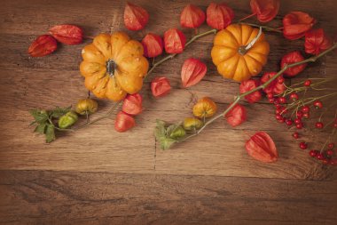 Turuncu kabak ve physalis 