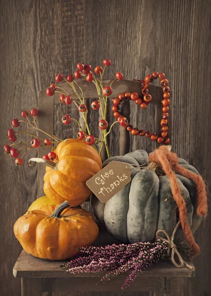 Calabazas verdes y naranjas — Foto de Stock