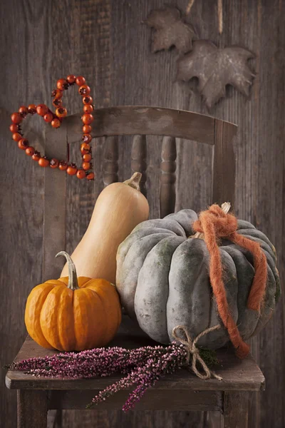 秋の装飾 — ストック写真