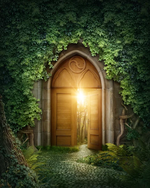 Entrada misteriosa — Foto de Stock