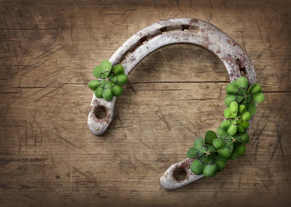Old rusty horseshoe and four leaf clover — Stock Photo, Image