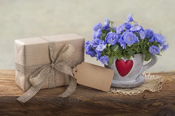 Gift box and campanula flowers — Stock Photo, Image