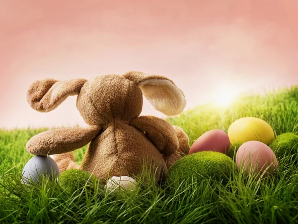 Velikonoční vajíčka a králík — Stock fotografie