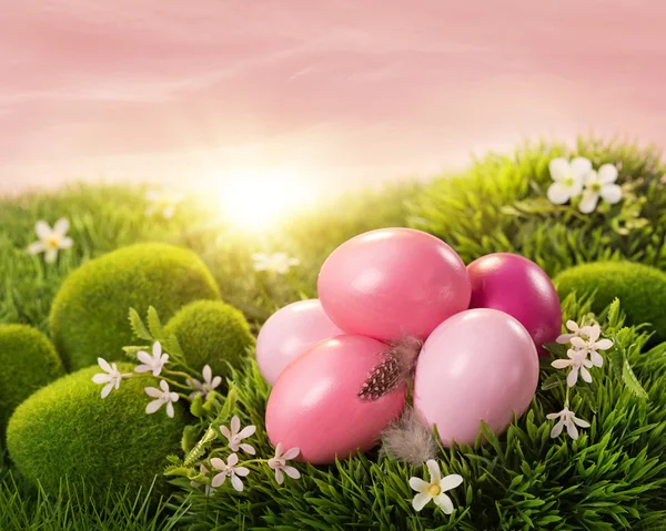 Růžový velikonoční vajíčka — Stock fotografie