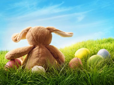 renkli Paskalya yumurtaları ve tavşan 