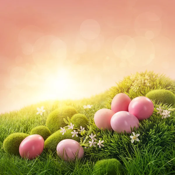 Uova di Pasqua rosa — Foto Stock