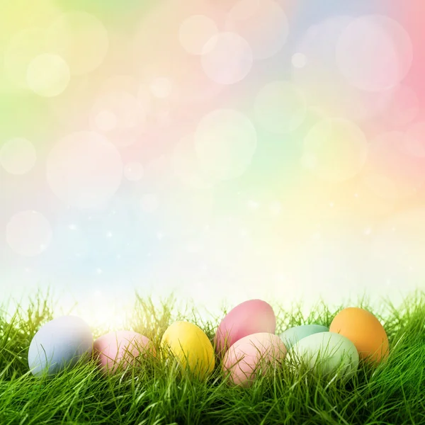 Colorful easter eggs — Stock Photo, Image