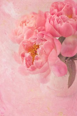 Şakayık çiçekleri