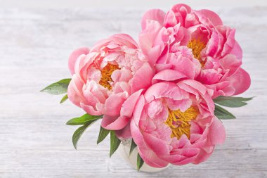 Şakayık çiçekleri