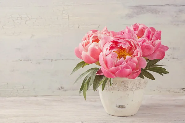 พีโอนี่ ดอกไม้ — ภาพถ่ายสต็อก