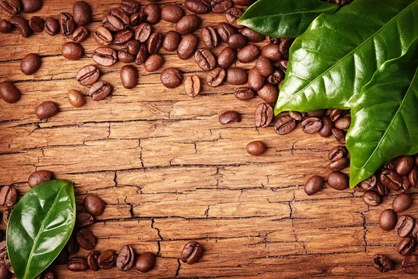 Granos de café y hojas verdes — Foto de Stock