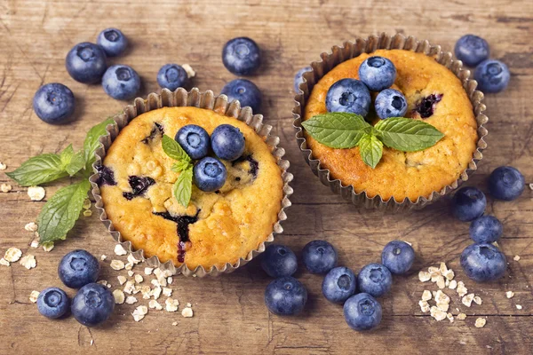 Bosbessenmuffins — Stockfoto