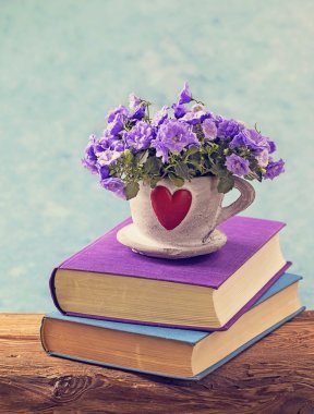 kitap ve çiçekler