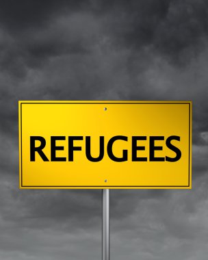Europe mülteci krizi