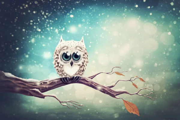 Little snow owl — Stock Photo, Image