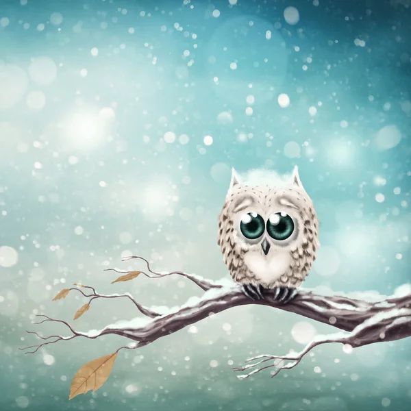 Little snow owl — Stock Photo, Image