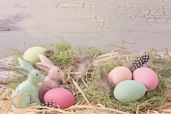 Easter pastel colored decoration — Stock Photo, Image