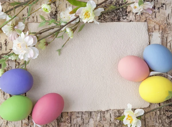Huevos de Pascua y nota en blanco —  Fotos de Stock