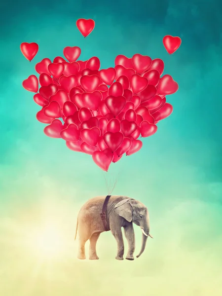Elefante volando con globos — Foto de Stock