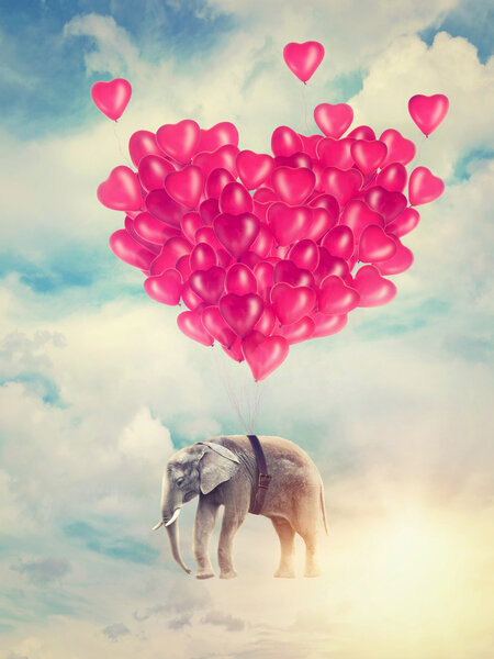 Flying elephant with balloons