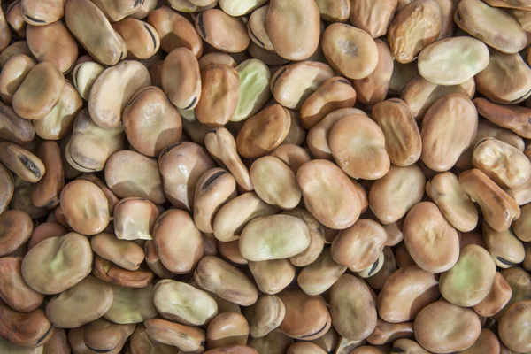 Lots of beans — Stock Photo, Image