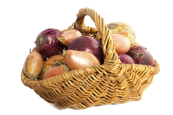 Different kin of onion — Stock Photo, Image