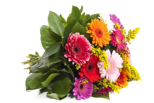 Colorful gerbera bouquet — Stock Photo, Image