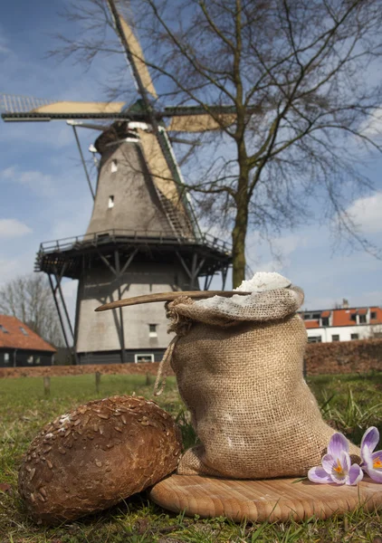 Molino de harina holandés —  Fotos de Stock