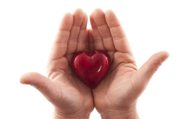 These loving hands — Stock Photo, Image