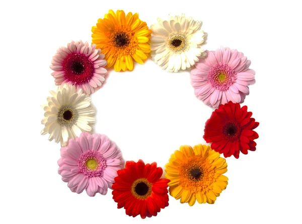 Blommor i en cirkel — Stockfoto