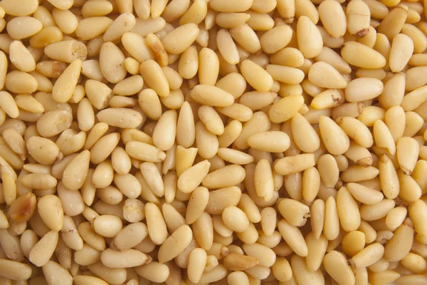 Pine seeds background — Stock Photo, Image