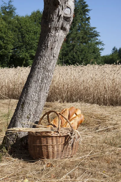 Francouzský chléb — Stock fotografie