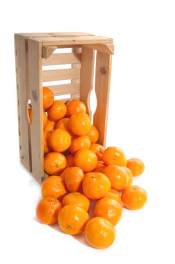 Sandık taze mandalina