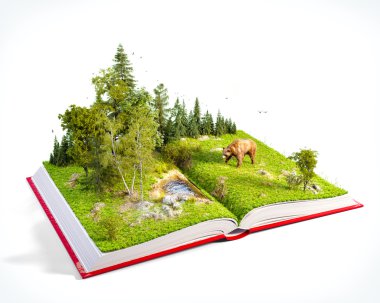 Açık kırmızı kitap