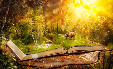 Kitap ile vahşi orman açıldı