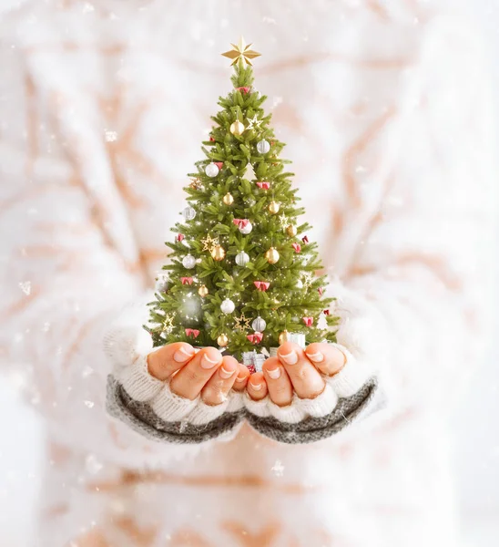 Femme Mignonne Tient Décoré Arbre Noël Dans Ses Mains Joyeux — Photo