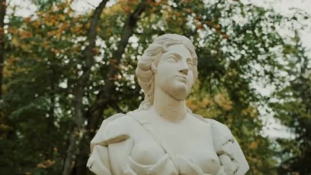 Zbliżenie popiersie greckiego posągu. — Wideo stockowe