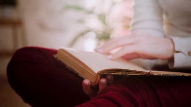 Woman Reads Book and Turning Pages (en inglés). Libro de lectura mujer — Vídeo de stock