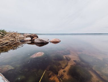 Bulutlu bir günde ormanın içindeki sakin suyun manzarası.