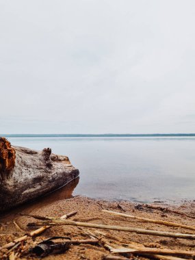 Bulutlu bir günde ormanın içindeki sakin suyun manzarası.