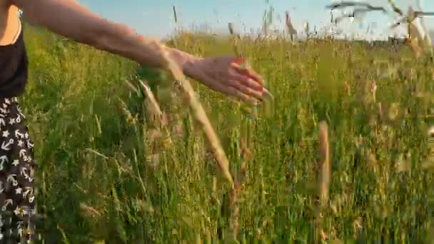 Flickan går genom ängen i tjockt högt gräs — Stockvideo